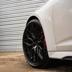 Audi RS6 C8 White Riviera RF108