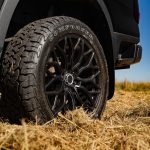 Ford Ranger Wildtrak Riviera RX4 SB